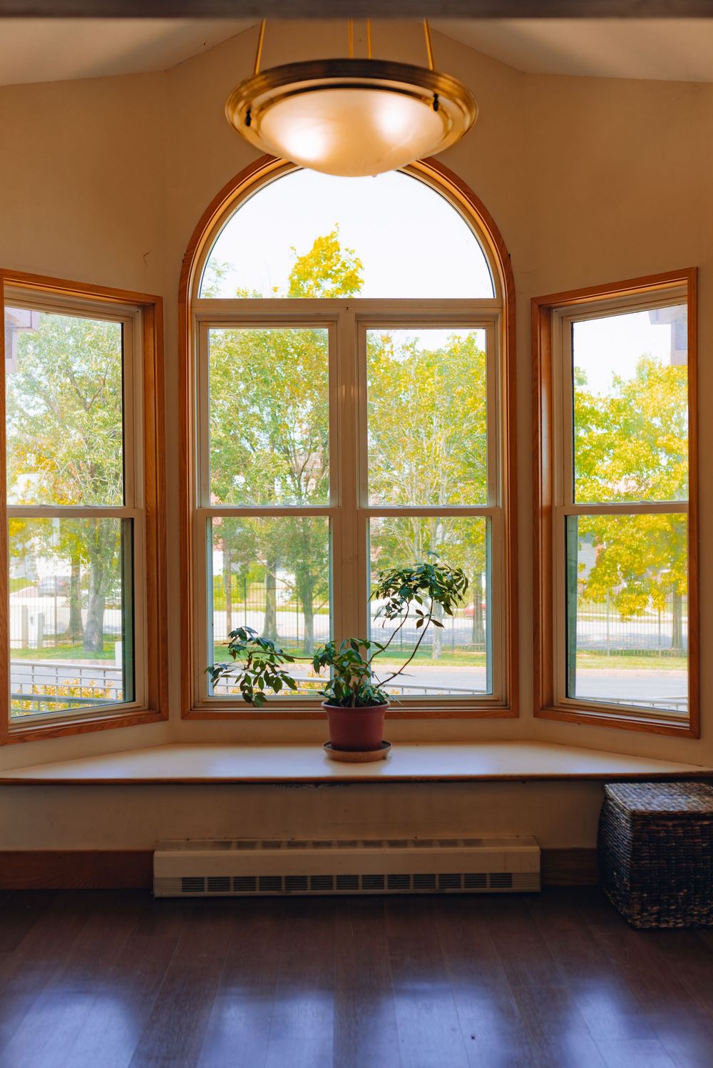 Sunlit bay window with arched top, wood trim, potted plant on sill, hardwood floors, and ceiling light fixture.