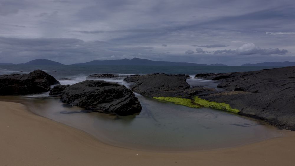 Rocky beach with green algae, calm tidal pools, dark boulders, and misty mountain backdrop under overcast skies.