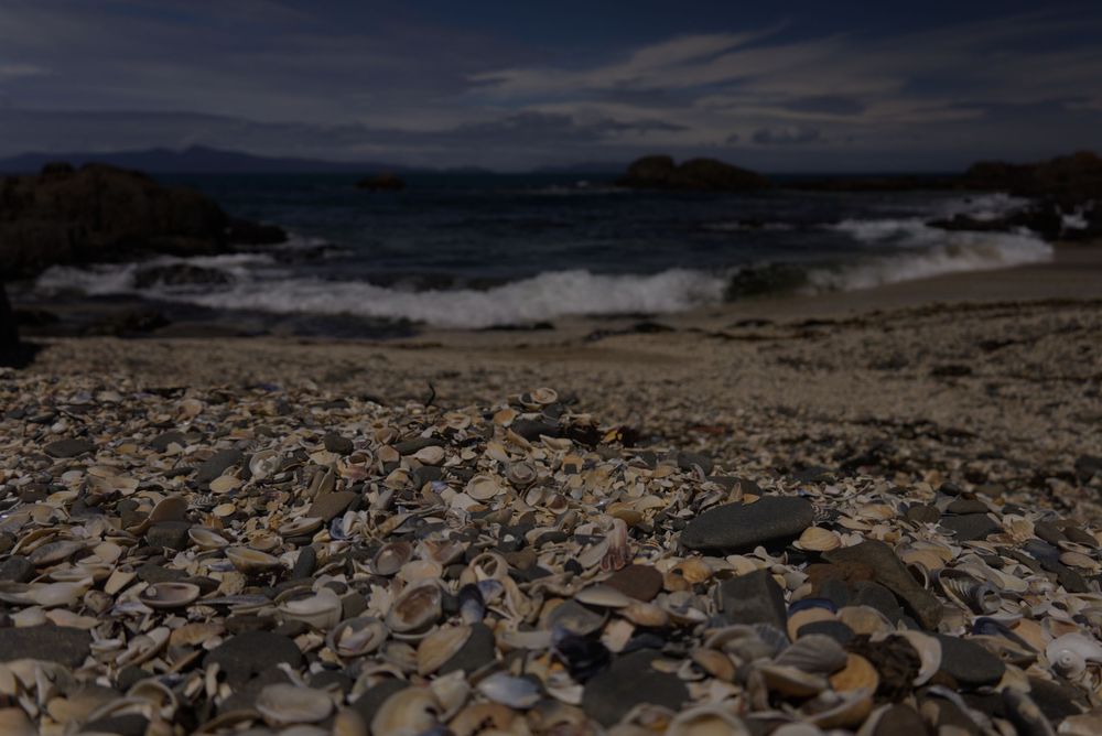 Rocky beach covered in shells and pebbles at dusk, with crashing ocean waves and dark cloudy sky in background.