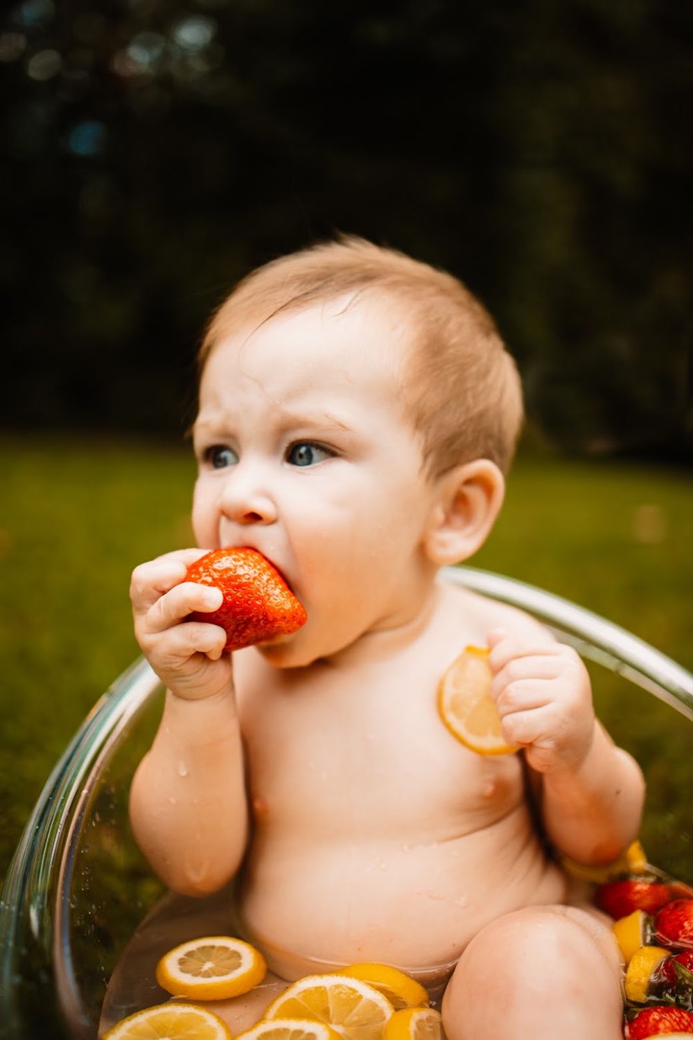 Cute baby eating a strawberry while sitting in a glass bowl with citrus fruit slices in Oak Ridge, TN.