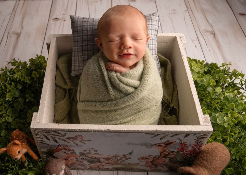 Sleeping newborn baby swaddled in green wrap, resting in a white wooden box with greenery and woodland toys.