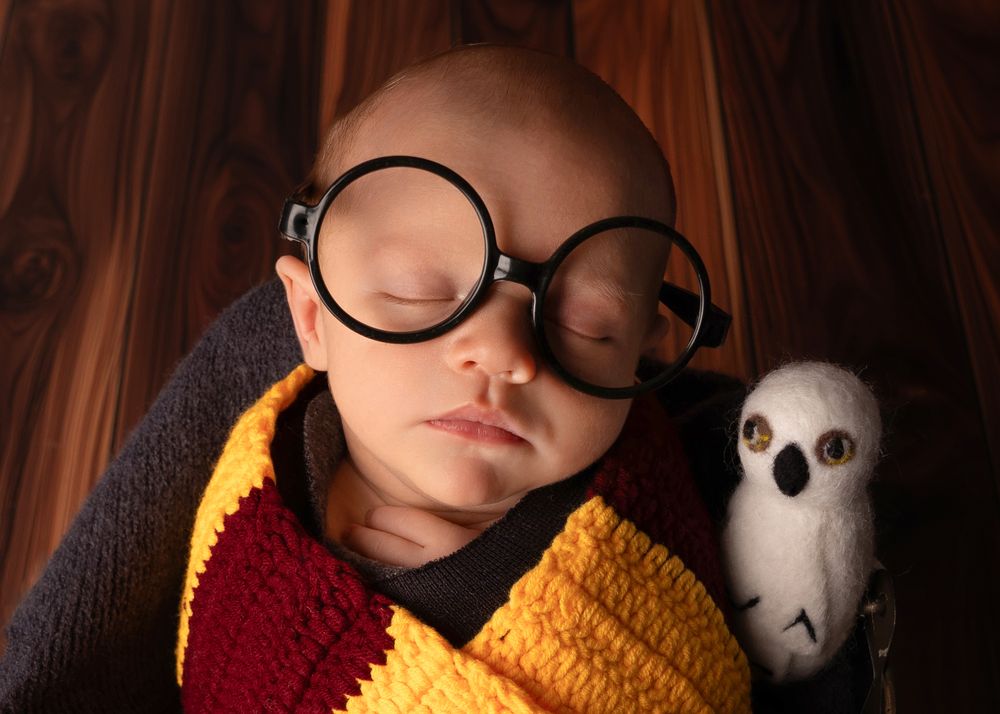 Sleeping newborn baby dressed as Harry Potter with round glasses and Hedwig owl plush toy.