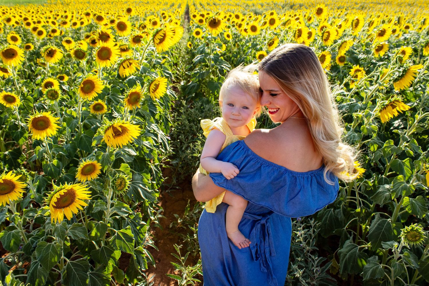 Blonde mother in blue dress holding baby in yellow in sunflower field.