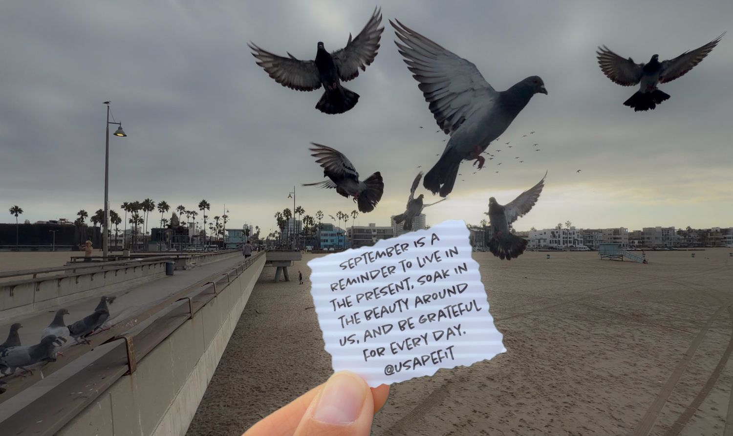 Hand holding a note with pigeons flying at Venice Beach boardwalk under cloudy skies in Los Angeles.