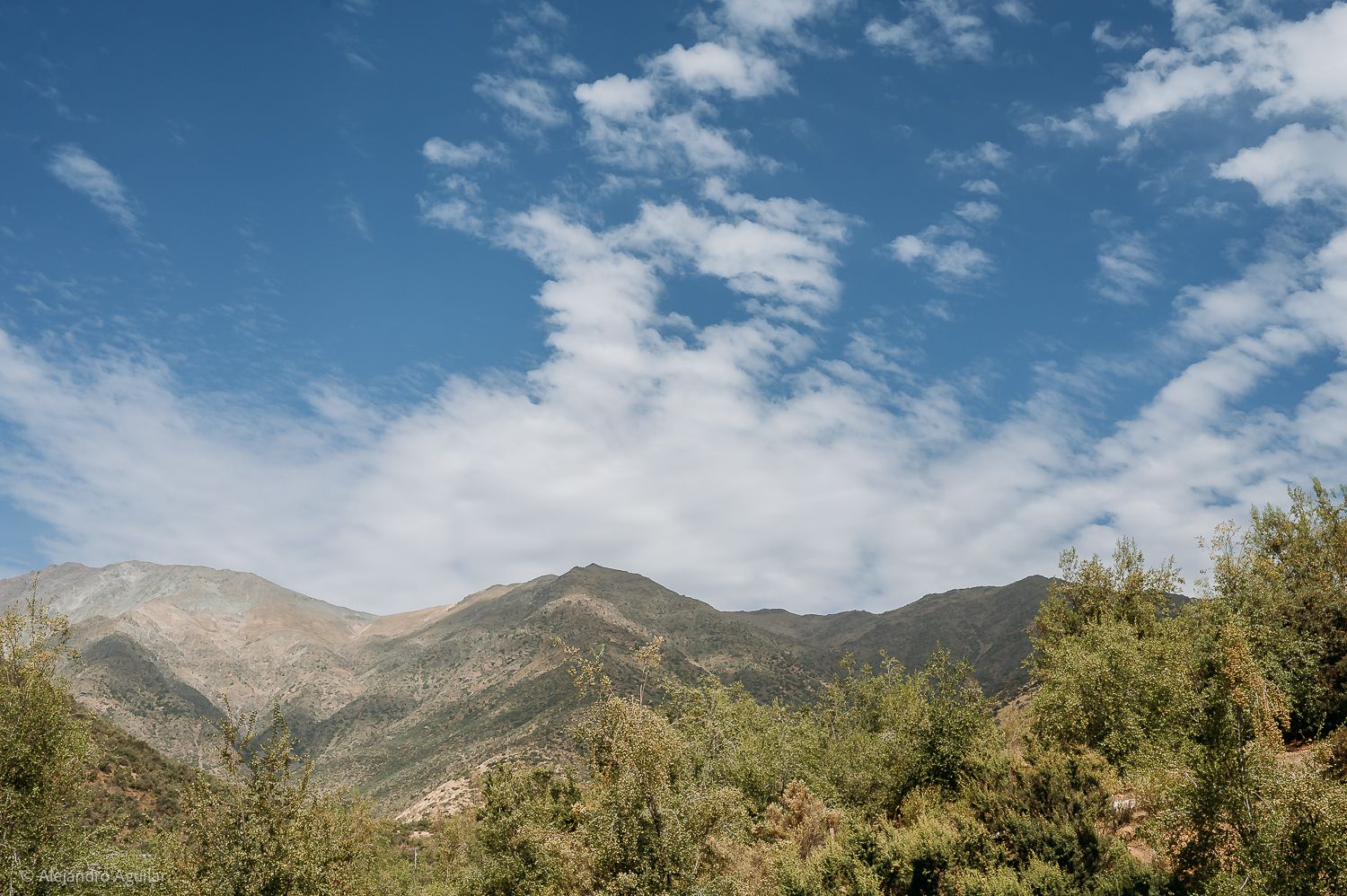 Scenic mountain landscape with lush green trees under a blue sky with wispy white clouds in a sunny day.