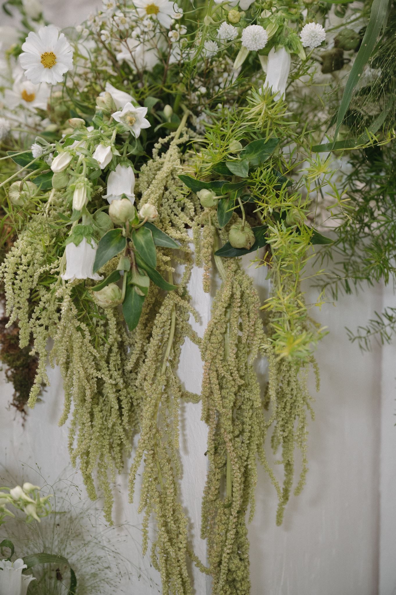 Lush floral arrangement with cascading green amaranthus, white cosmos, and wild greenery,