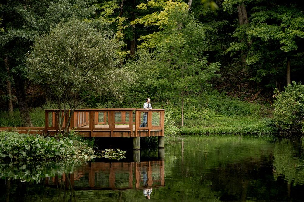 Person standing on a wooden dock over a calm reflective lake surrounded by dense green forest.