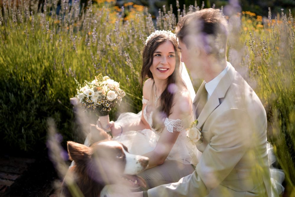 Bride and groom sitting in a lavender field, bride smiling and holding a white bouquet on their wedding day.