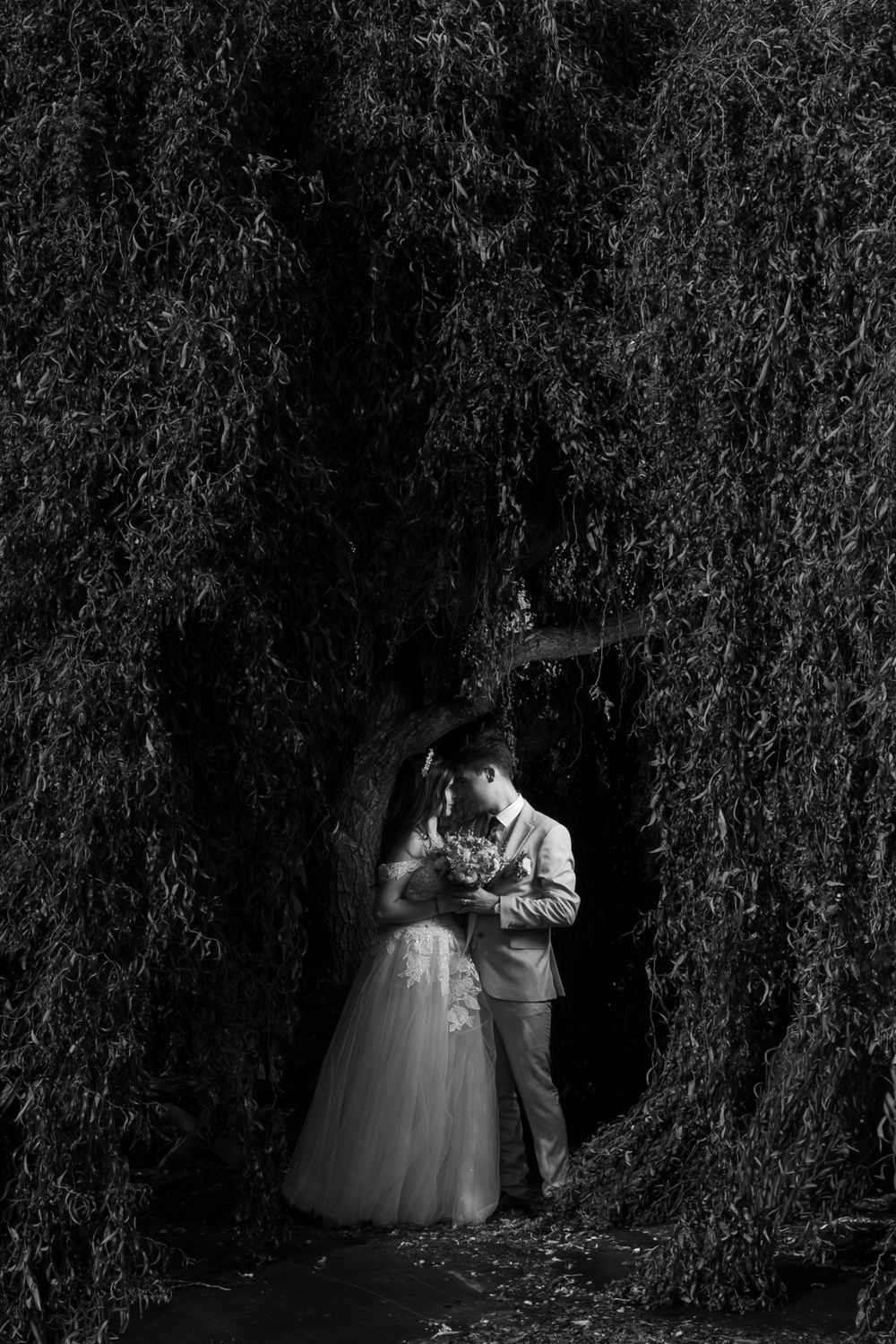 Black and white wedding photo of bride and groom embracing under a weeping willow tree canopy.