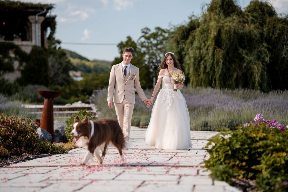Bride and groom walk hand-in-hand with their dog on a flower-petal-lined path at an outdoor wedding venue.