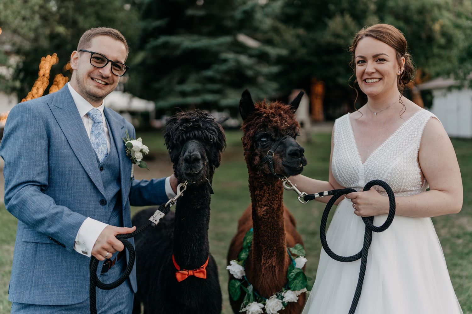 A smiling bride and groom pose with two alpacas wearing floral accessories outdoors.