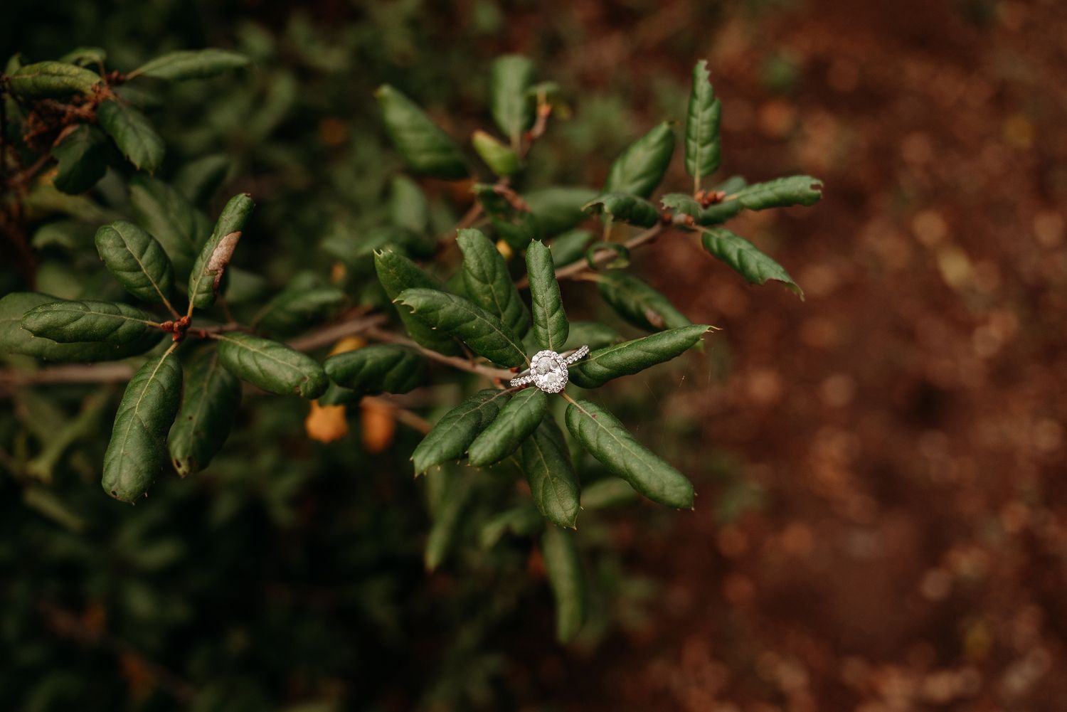 Elegant wedding rings in a velvet box beside diamond drop earrings and floral wedding invitation.