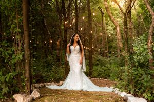 Bride in lace mermaid gown stands in enchanted forest with string lights, surrounded by lush greenery.