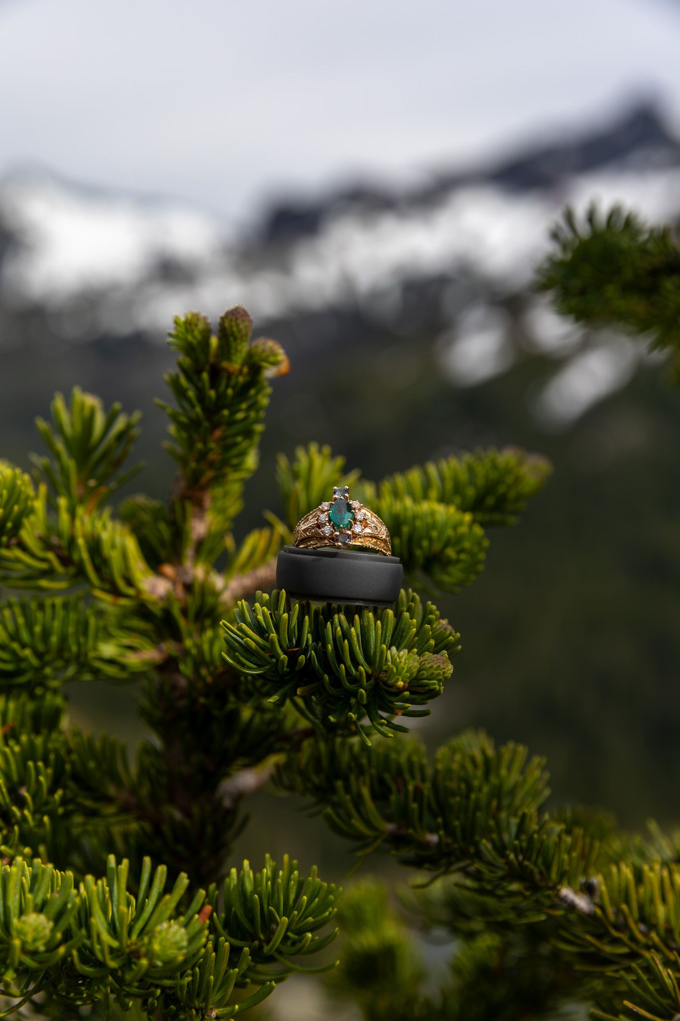 Gold and turquoise engagement ring displayed on a pine tree branch with snowy mountain backdrop.