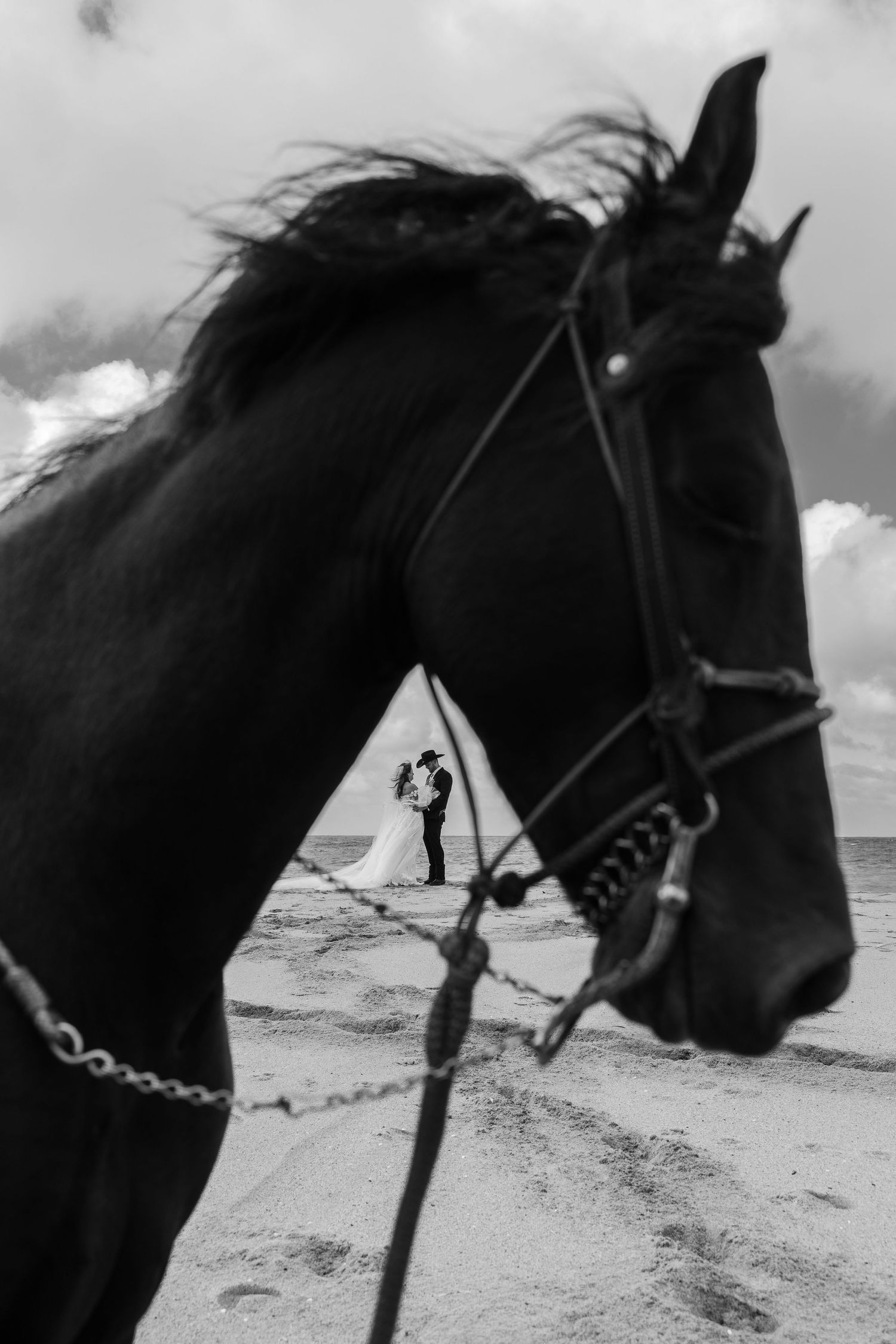 black and white photo of horse with couple in the background on beach in Half Moon Bay during Bay Area adventure elopement