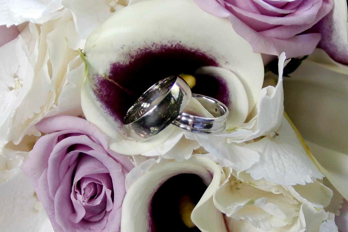 Two silver wedding bands resting inside white calla lilies surrounded by purple roses in a bridal bouquet.
