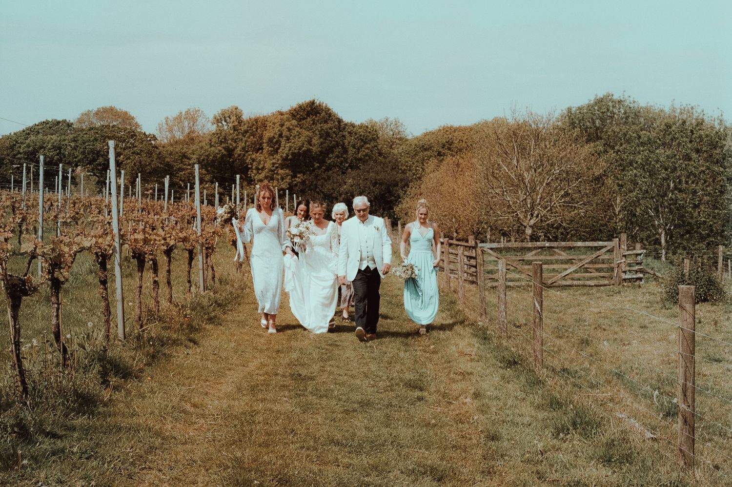 Wedding party walking through vineyard rows, bride in white gown with bridesmaids in mint dresses and a dog on a sunny day.