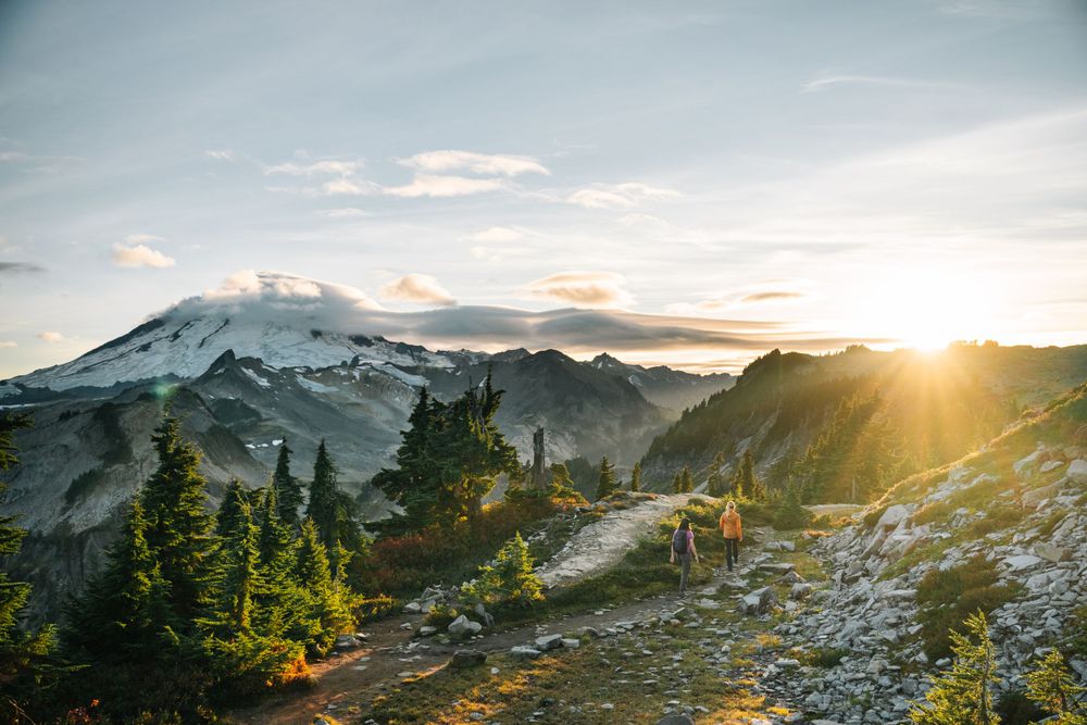 Hiking trail on mountain ridge with snowy peaks and sunset views through evergreen trees.