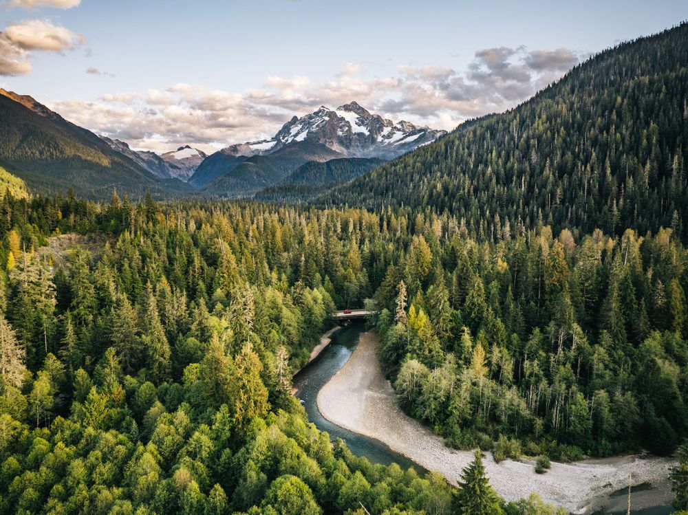 Aerial view of winding river through dense evergreen forest with snow-capped mountains in the distance under cloudy sky.