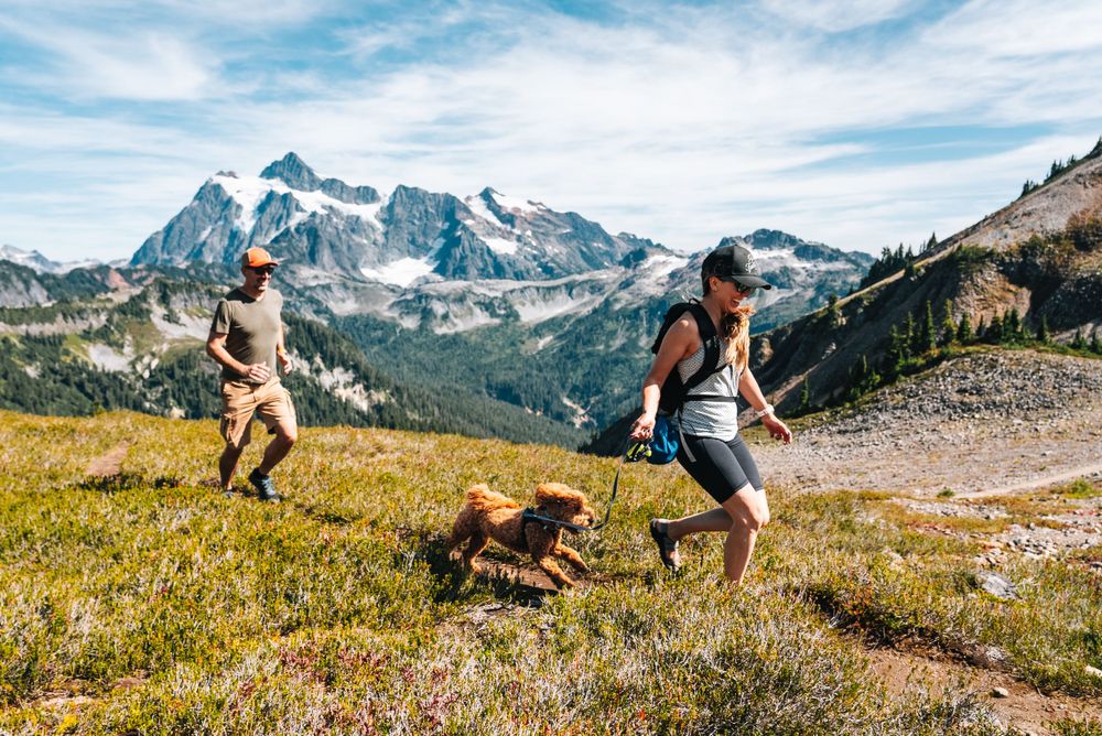 Outdoor adventurers hiking along a mountain trail with a dog against a backdrop of snow-capped peaks and blue sky.