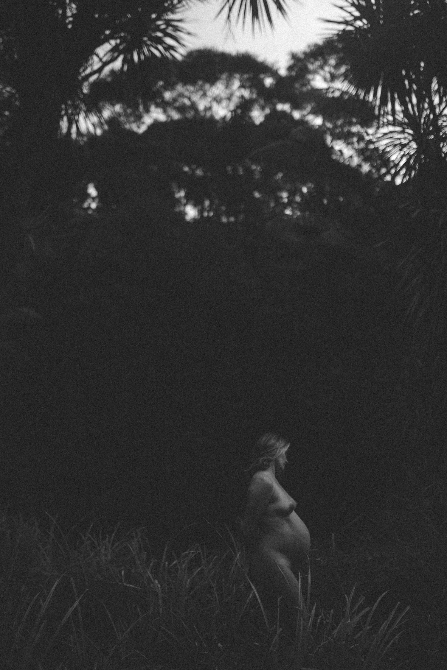 Nude pregnant woman standing among lush tropical jungle foliage, reaching up toward tree branches in natural setting.