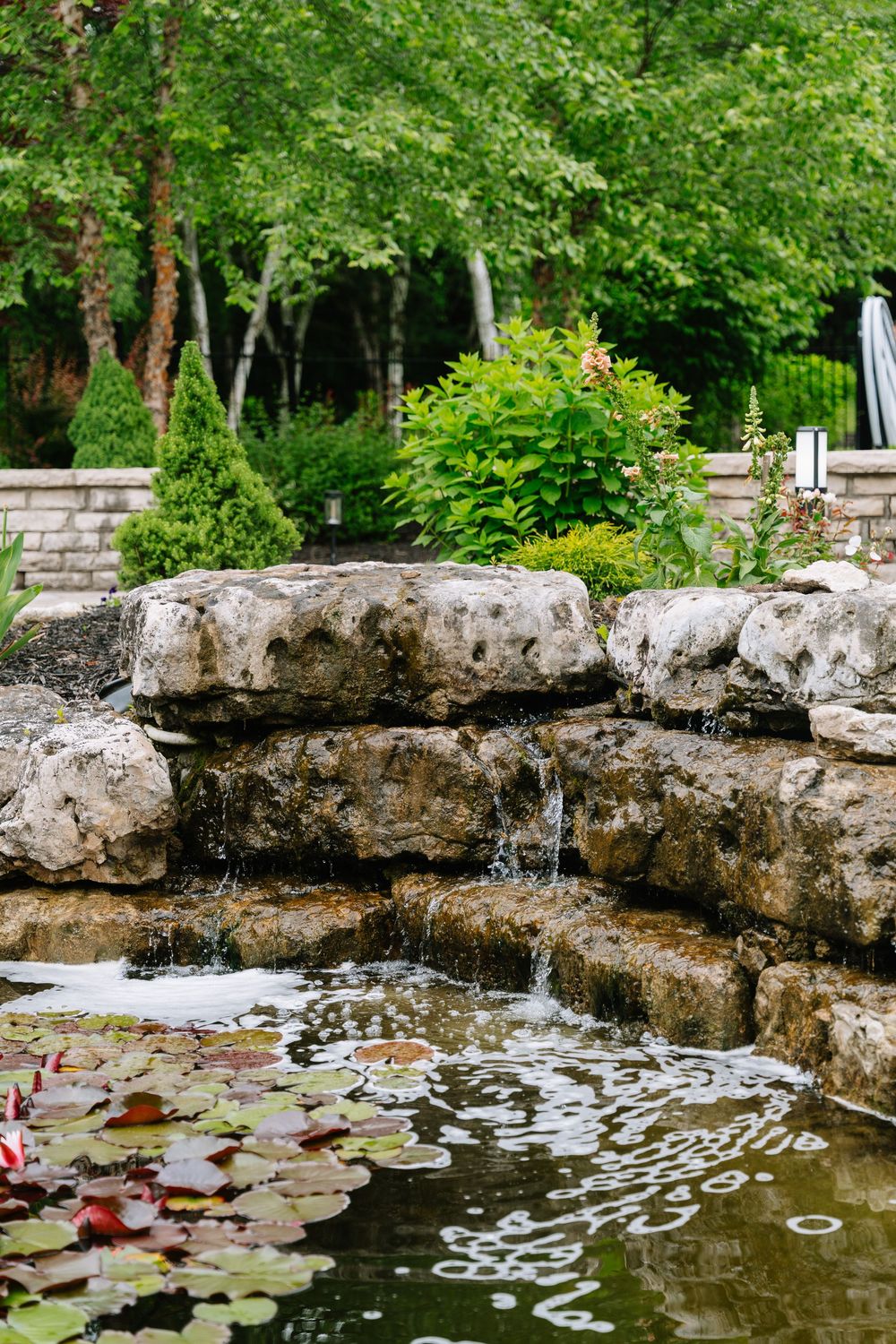 A serene garden pond with lily pads, natural stone waterfall, and lush green trees in the background.