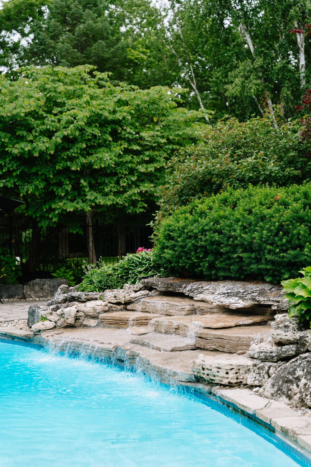 Lush backyard pool with natural stone waterfall feature surrounded by vibrant green trees and landscaping.