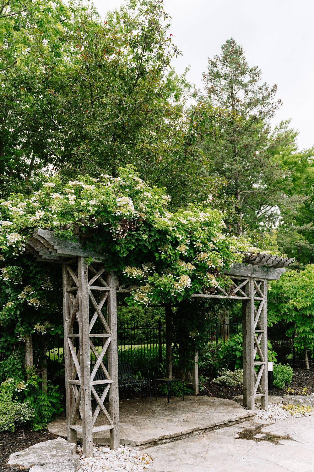 Rustic wooden garden pergola covered with white flowering vines, surrounded by lush green trees and shrubs.