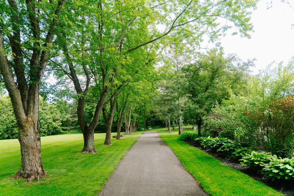 A serene tree-lined paved pathway winds through a lush green park with manicured lawns and vibrant foliage.
