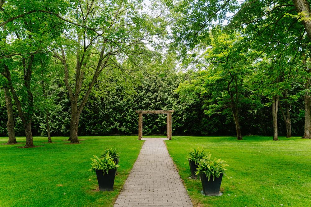 Lush green garden path with brick walkway leading to wooden arbor, flanked by potted ferns and tall trees.