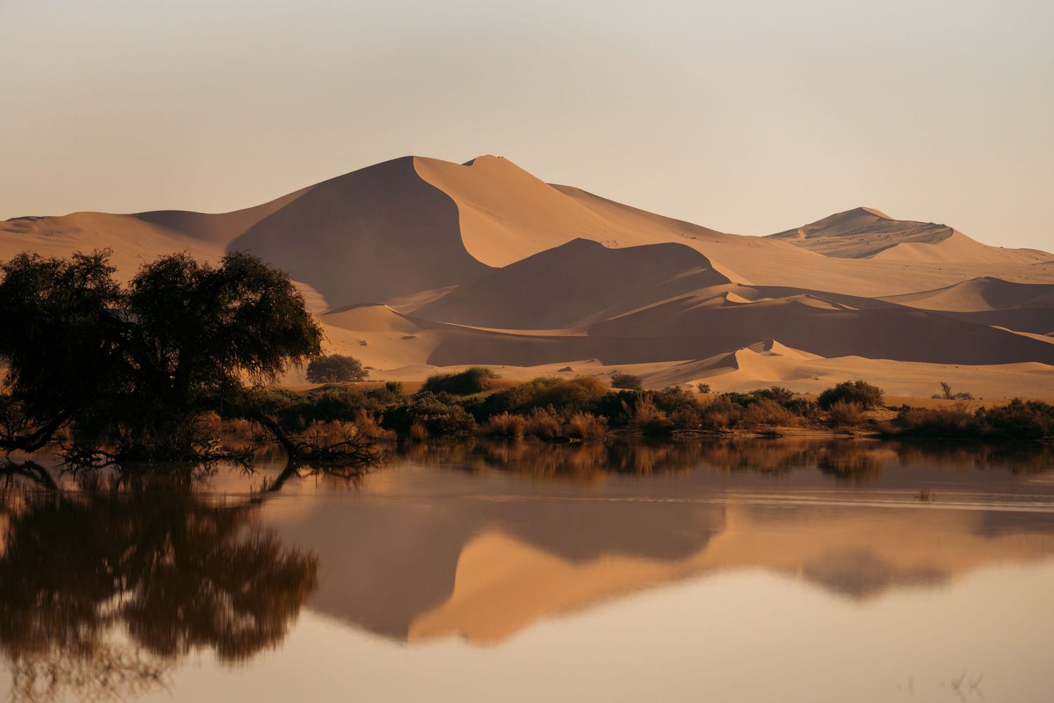 dune de sossusvlei qui se reflètent dans l'eau d'un lac