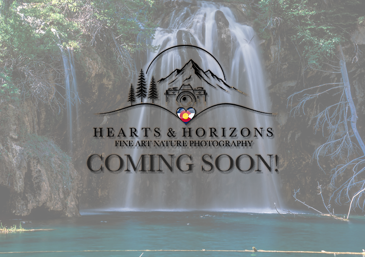 Reji Li Wiaterfalls GalleryComing Soon