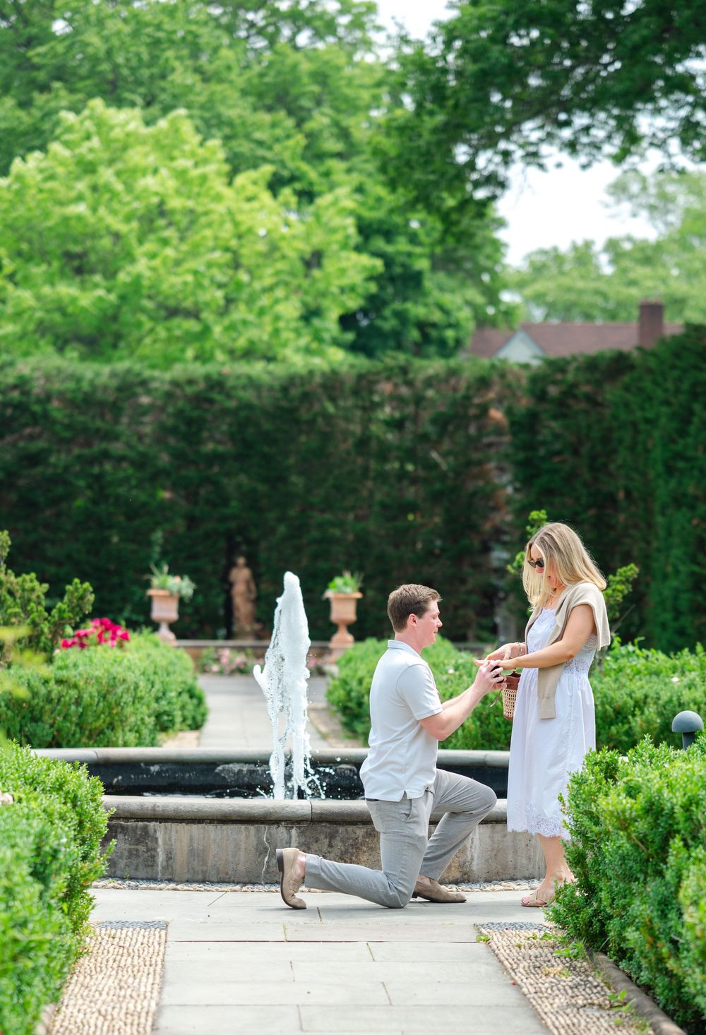 Man proposes on one knee to woman in elegant garden with fountain and lush green hedges backdrop.