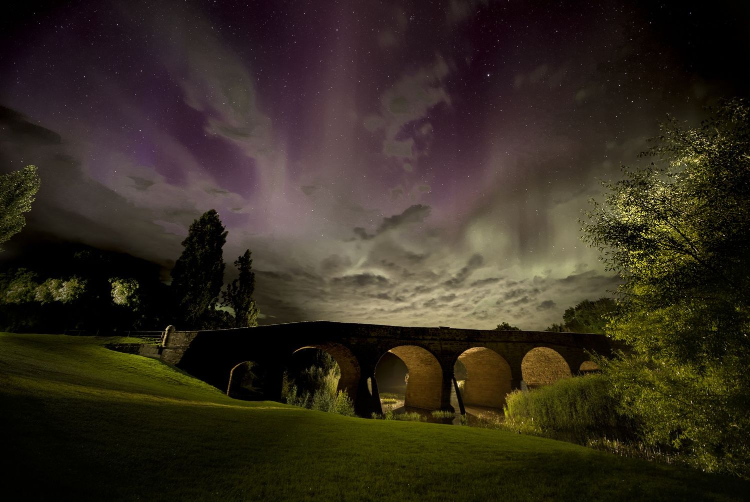 Vibrant green and purple aurora australis illuminating a starry night sky over a dark treeline.