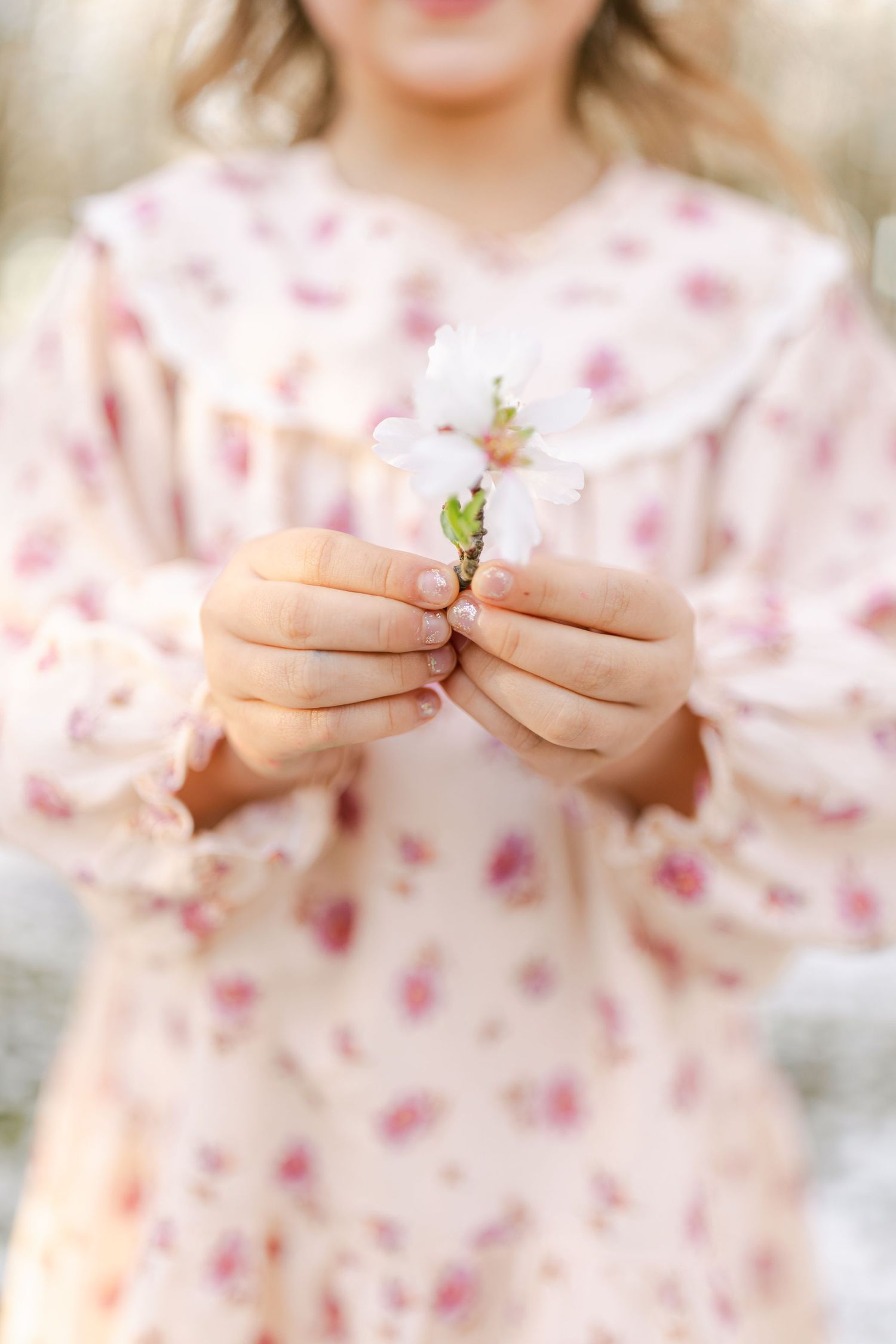 Young girl in floral pink dress gently holding a delicate white spring blossom in her hands.