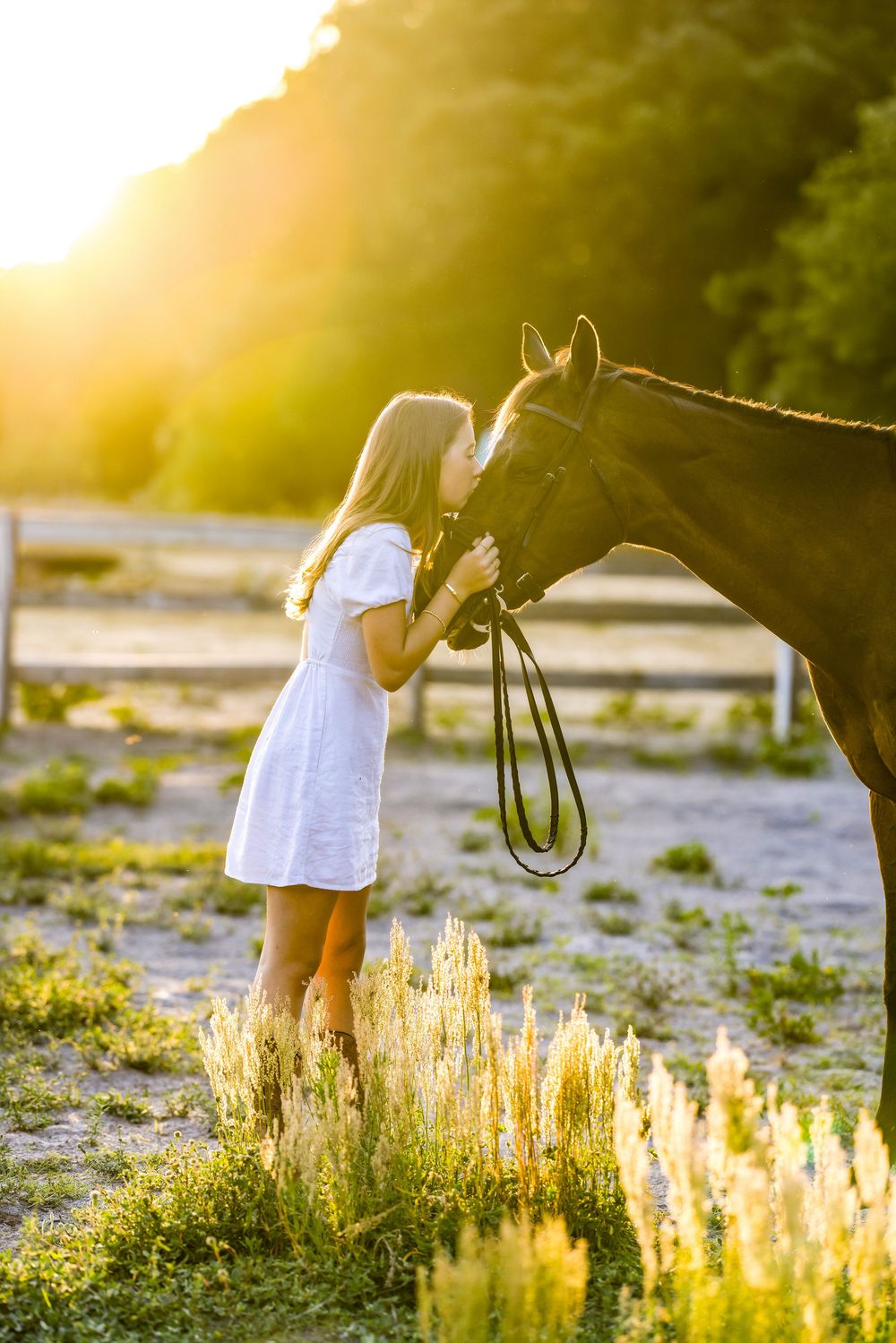 Girl in white dress kissing a dark horse at golden sunset in a field with tall grass.