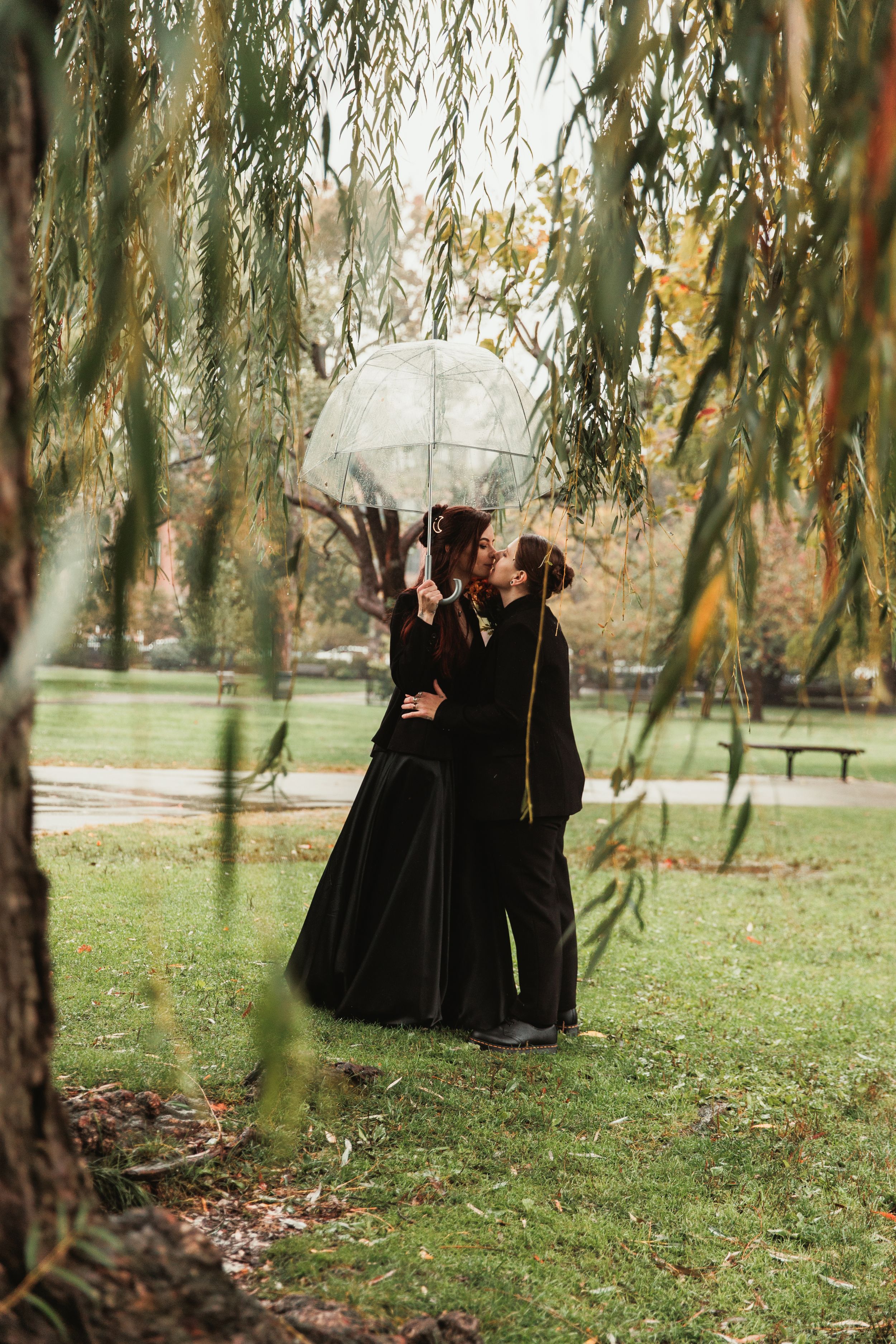 Couple in black wedding attire kissing under clear umbrella beneath weeping willow tree in park.