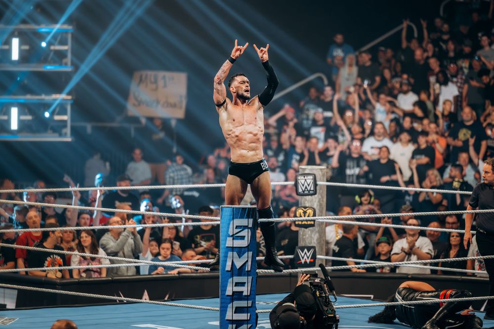 WWE SmackDown wrestler stands triumphantly on ring post, arms raised before a packed arena crowd.