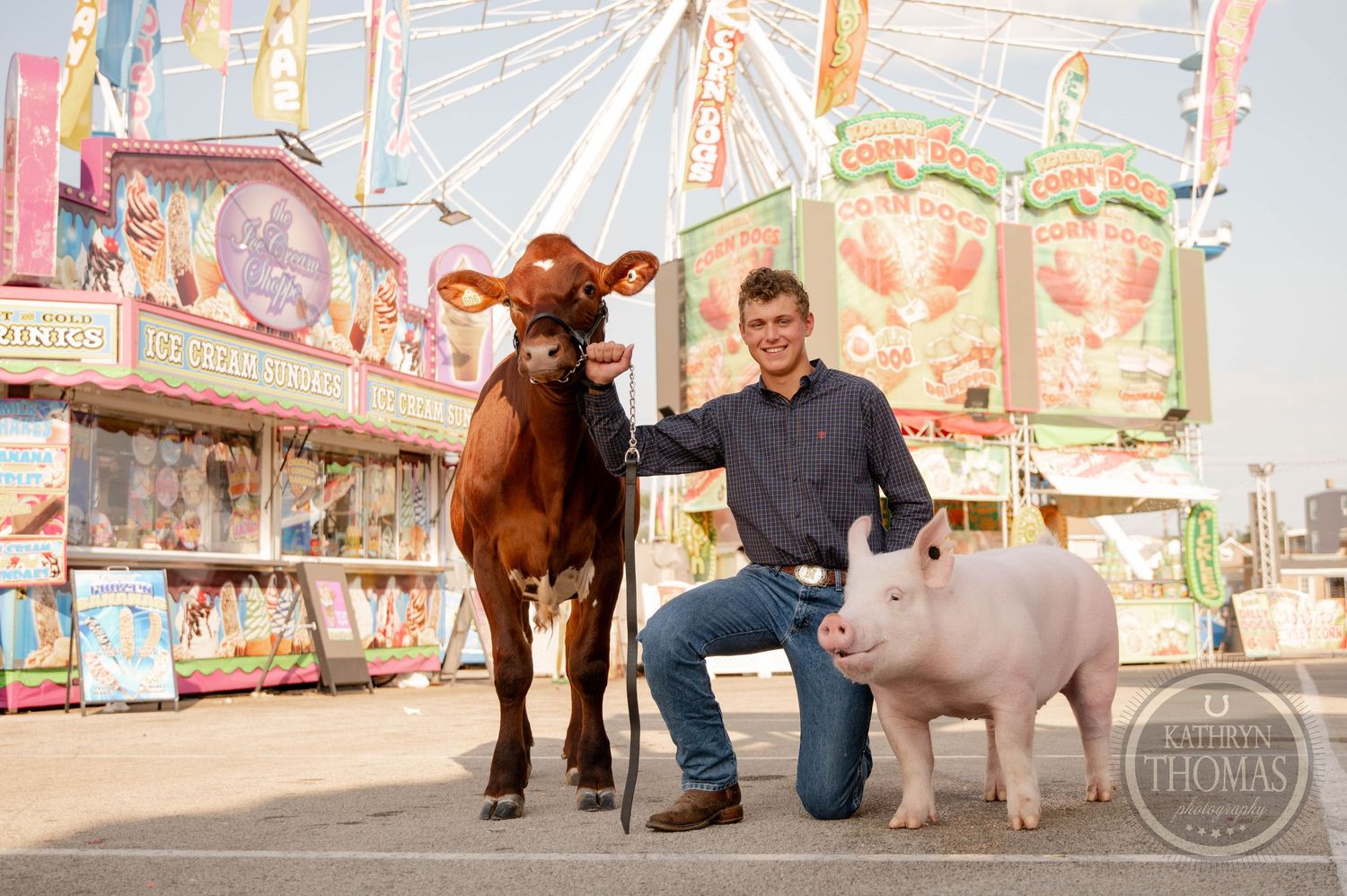 Young man kneeling between a brown calf and a pink pig at a colorful county fair with a Ferris wheel backdrop.