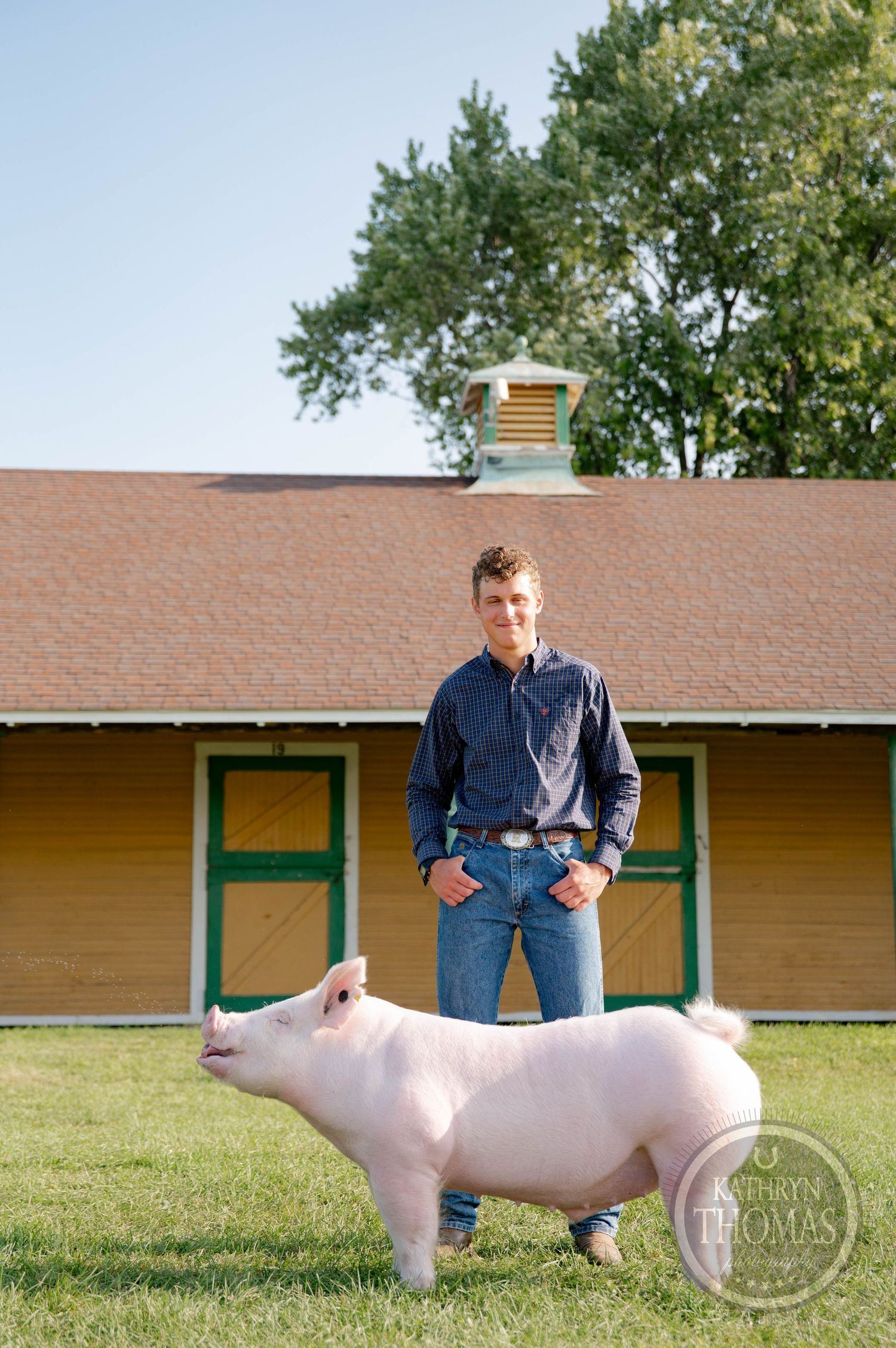 Young man in blue shirt and jeans posing with a large pink pig in front of a barn on a sunny day.