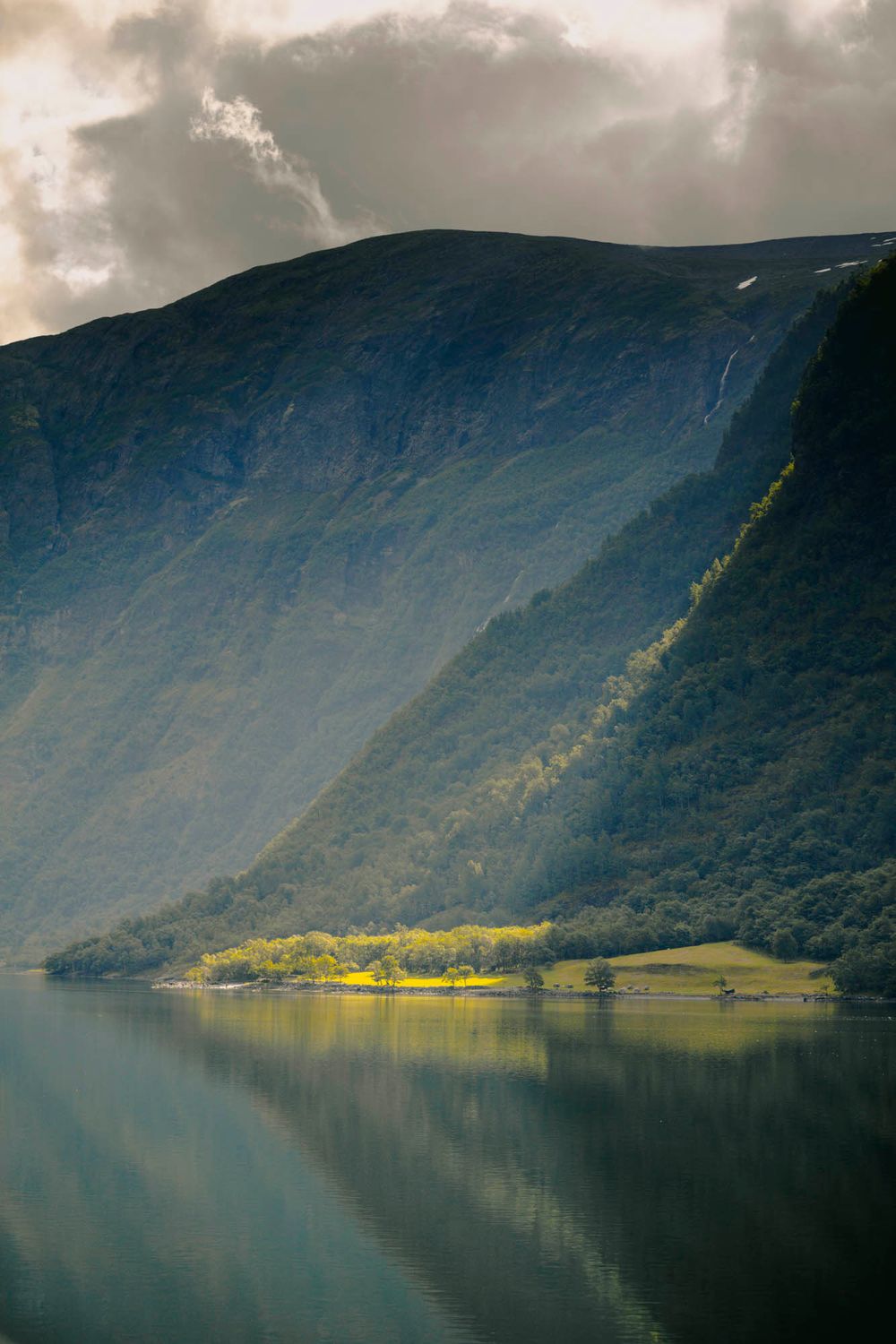 Serene Norwegian fjord reflecting steep green mountains with golden sunlit meadows along the tranquil shoreline.