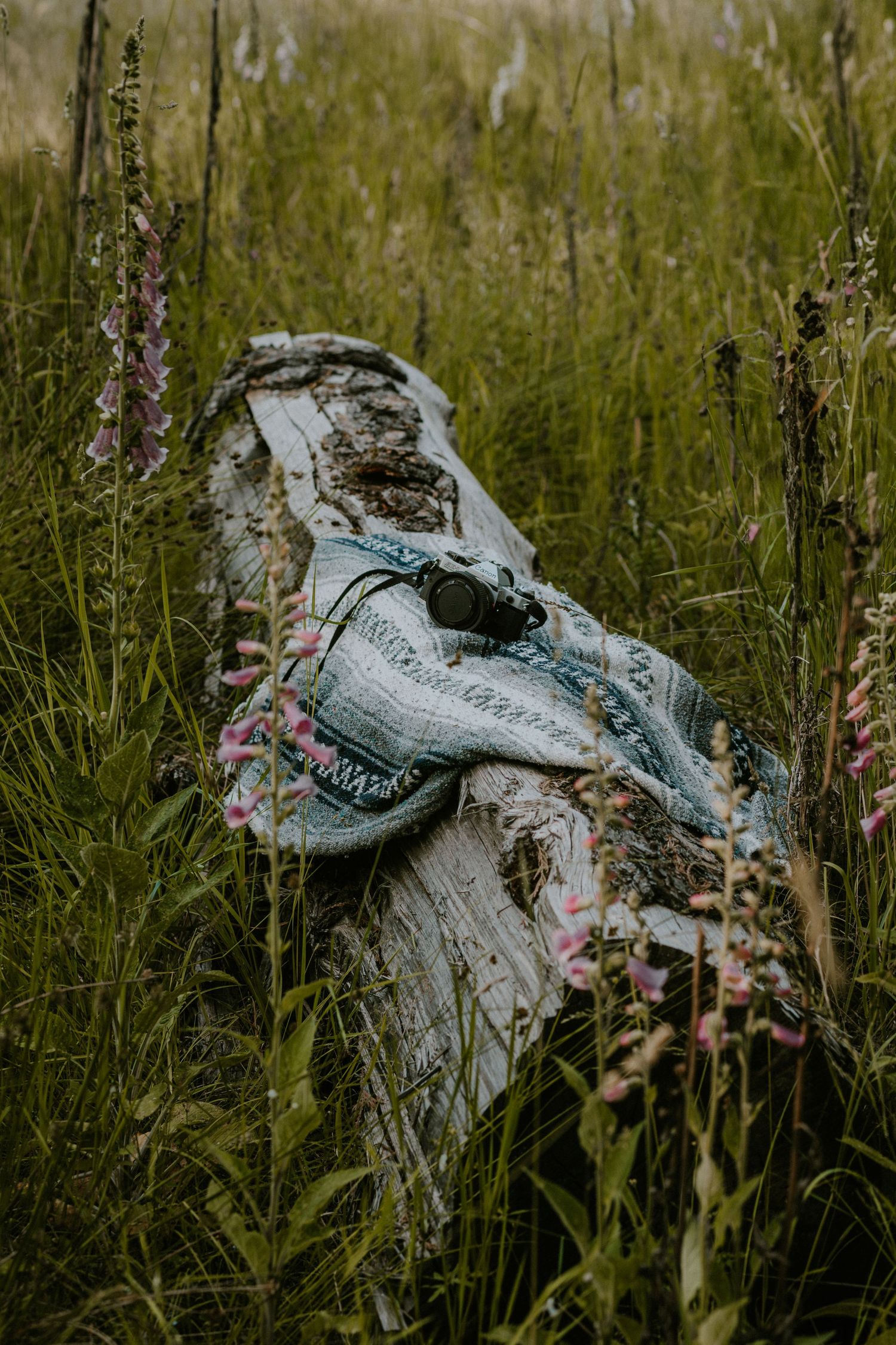 A worn denim jacket draped over a weathered log surrounded by tall green grass and pink wildflowers.