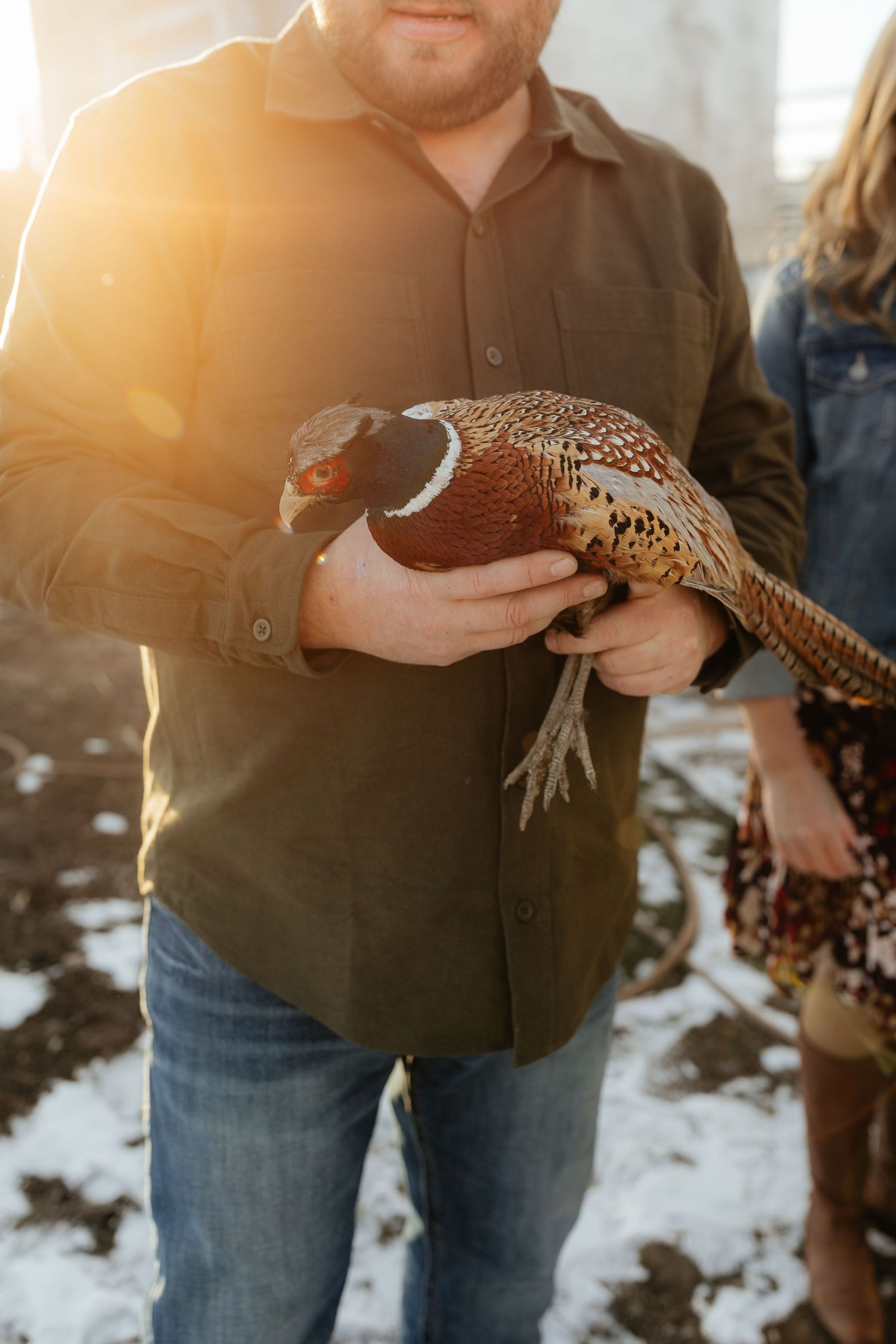 Man in green shirt holds a ring-necked pheasant outdoors in snowy setting with golden sunset light.