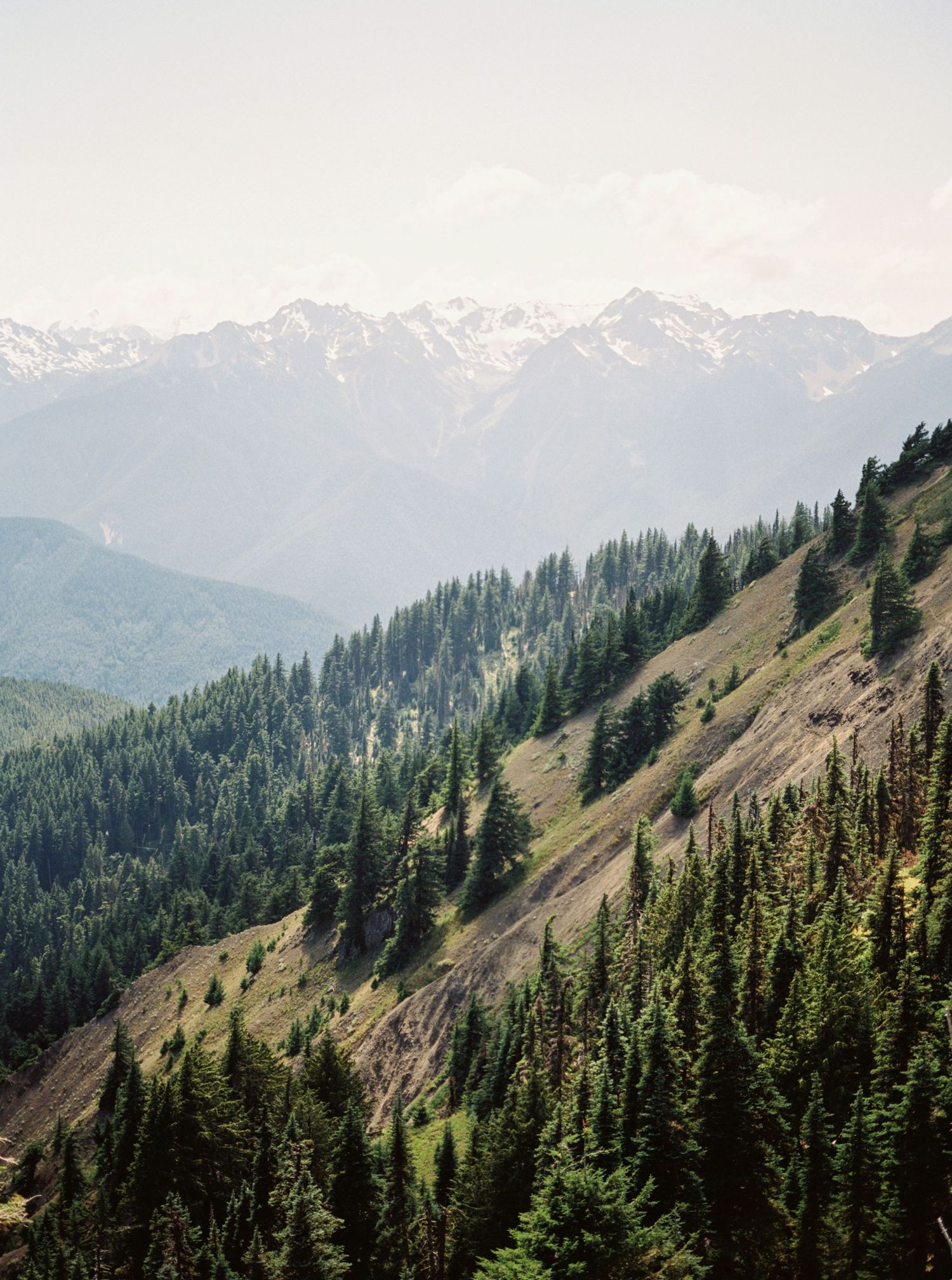 Hurricane Ridge