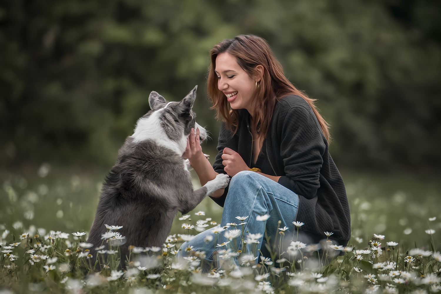 Fotografia Cani a Cuneo e provincia. Racconto
