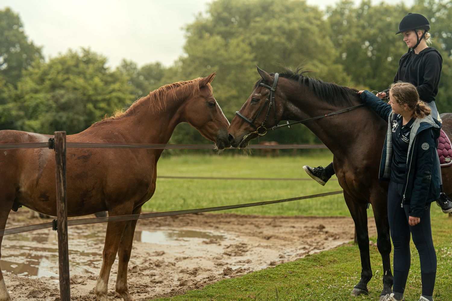 A rider on a dark bay horse greets a chestnut horse held by a girl in a lush green paddock.