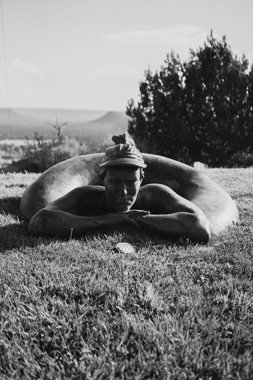 Black and white photo of a shirtless person resting their head on a large dog lying in grass with trees and mountains behind.