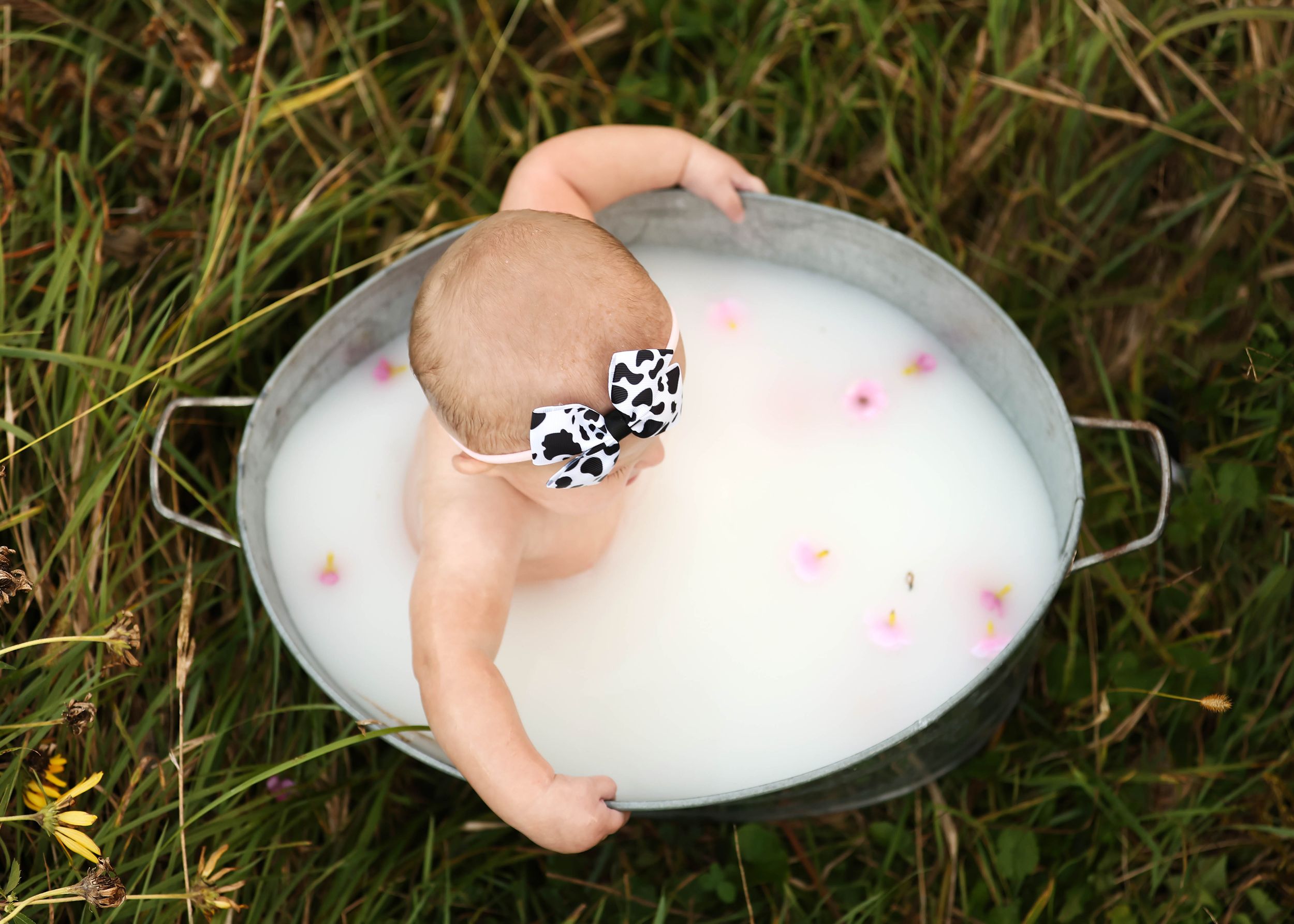 Baby sitting in a galvanized tub filled with milk and pink flower petals outdoors on green grass.