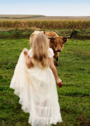 A young girl in a white dress approaches a Highland cow with long horns on a lush green farm field.
