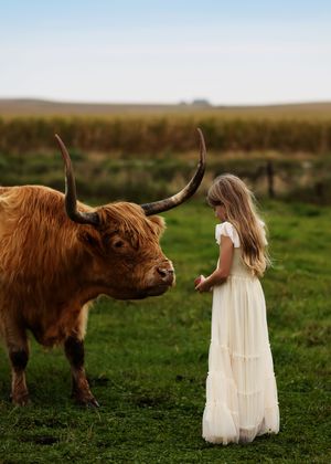 A young girl in a white dress stands facing a Highland cow on a green farm field.